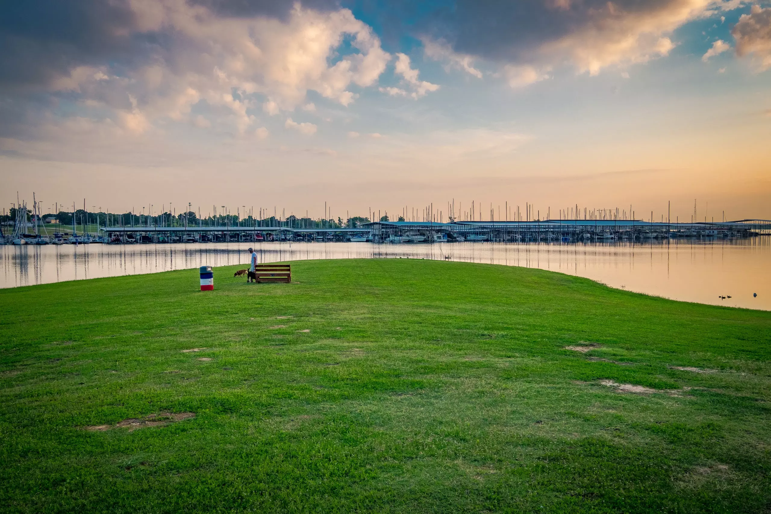 20170627 DSCF5701 2 scaled