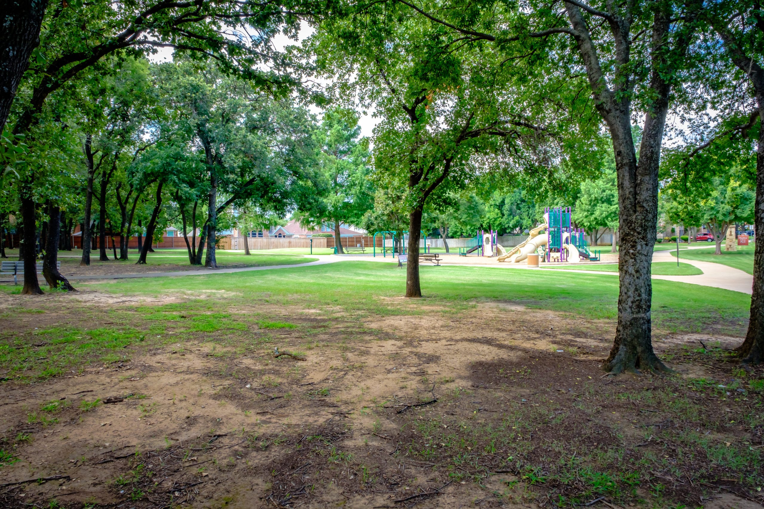 20170714 DSCF5846 scaled