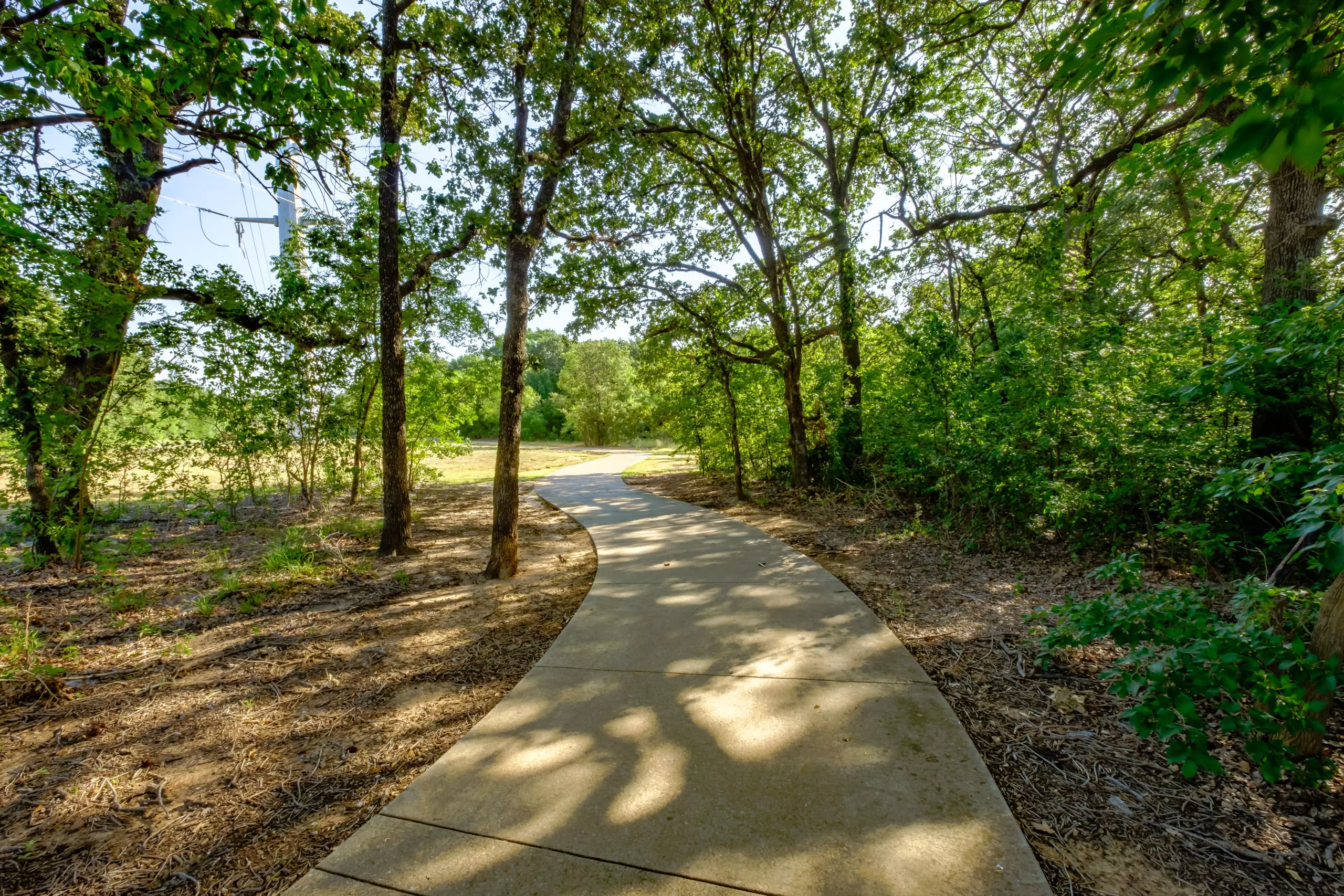 20170721 DSCF6470 HDR scaled