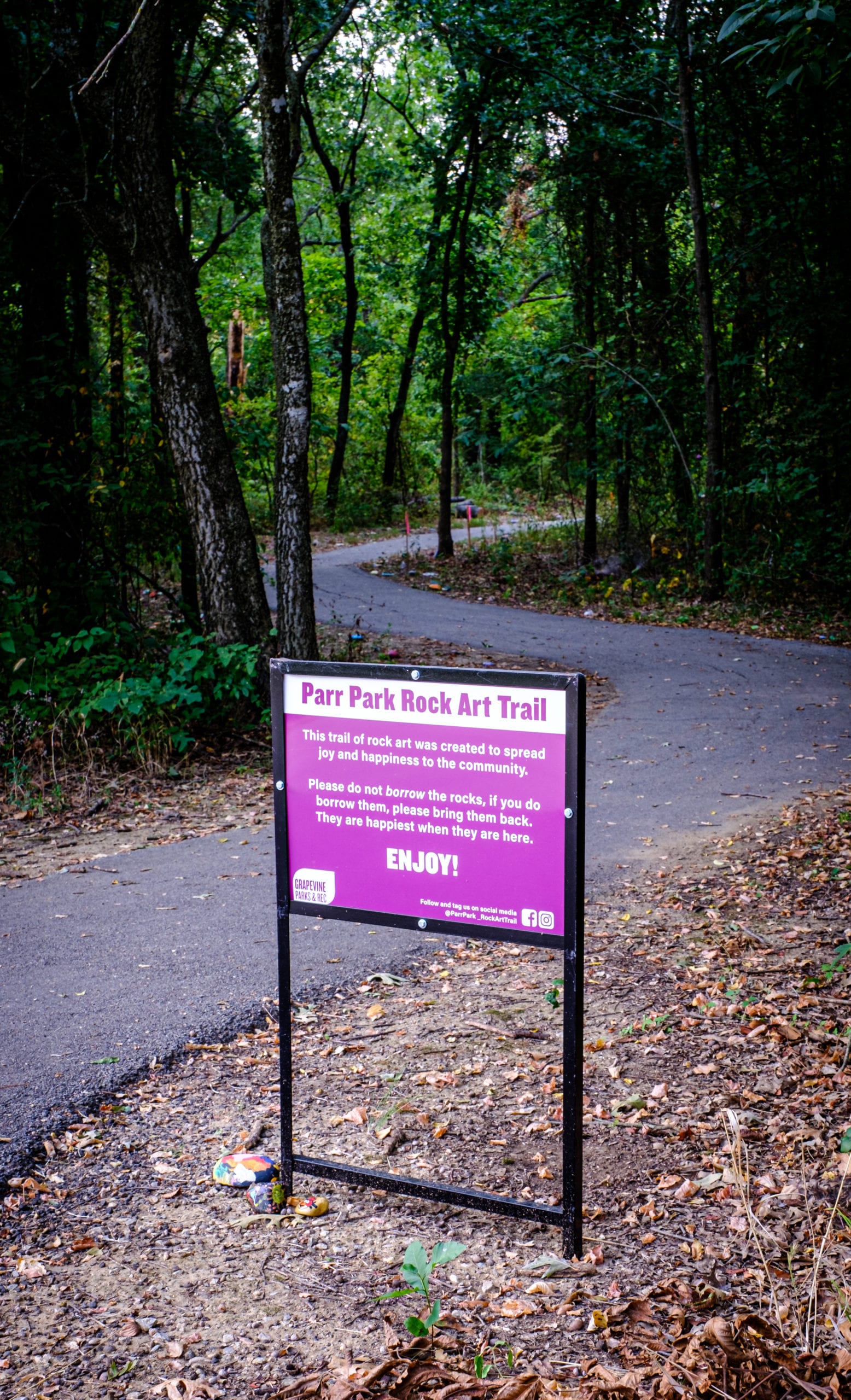 20200816 DSCF3671  scaled