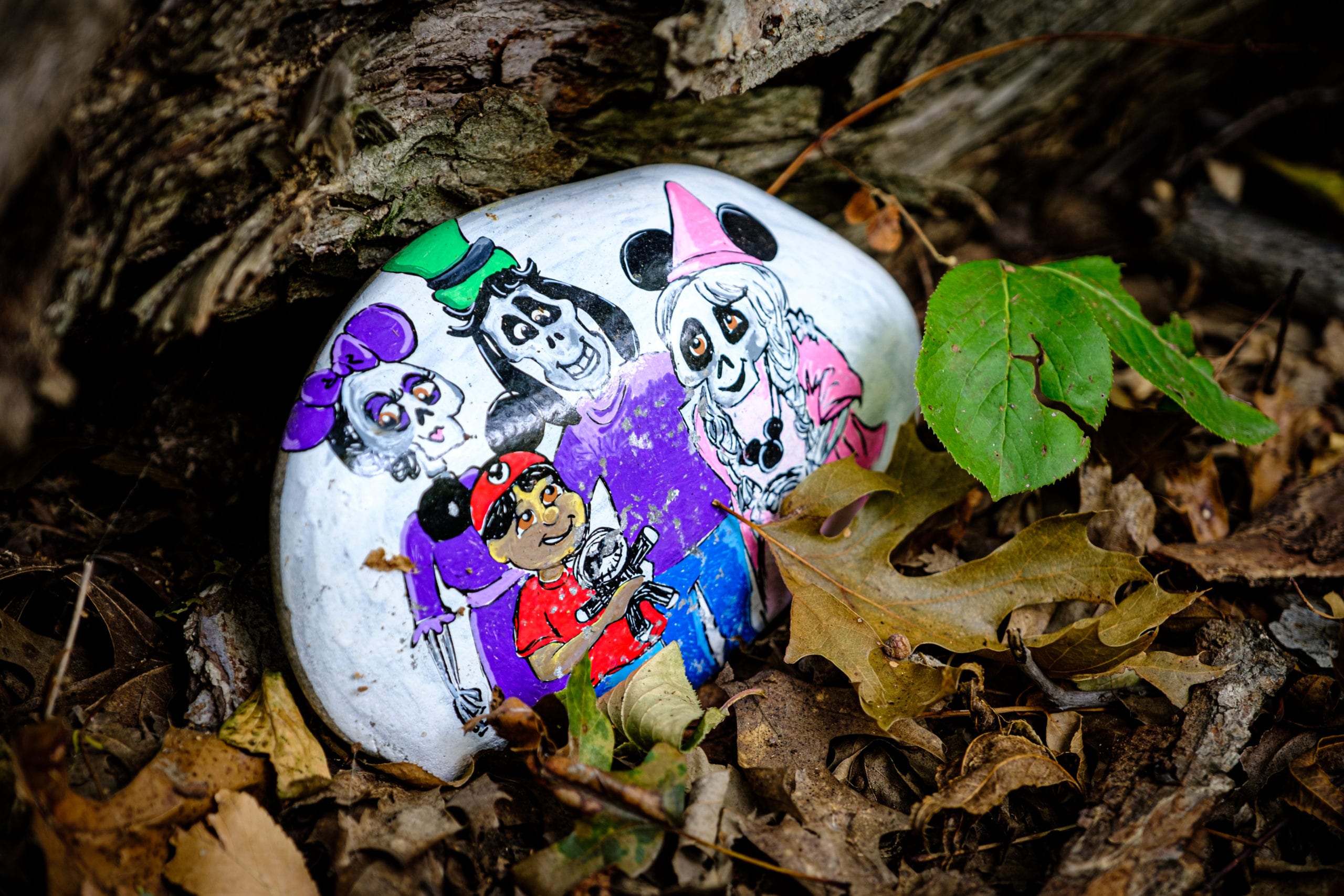 20200816 DSCF3720  scaled