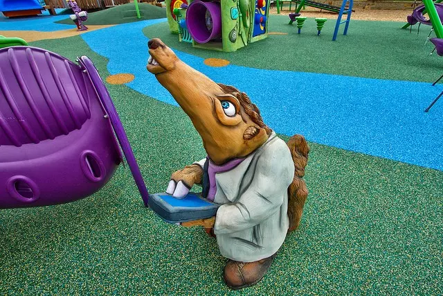 25413291611 9ffed8f35f z