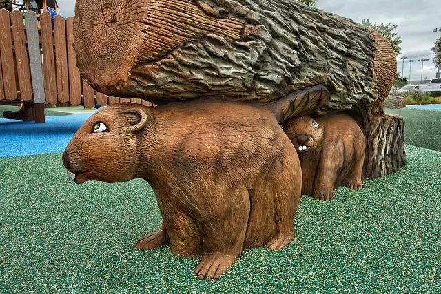 25506097735 94c714fac0 z