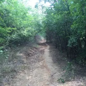 34869803972 c3329590fb z